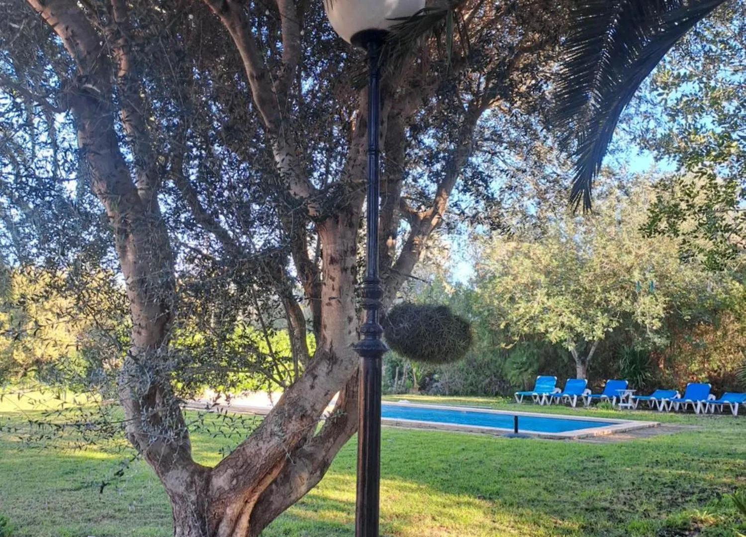 Es Garballons Manacor  Villa
